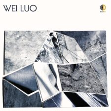 Wei Luo’s Promising Debut A1gafyTUCJL._SL1500