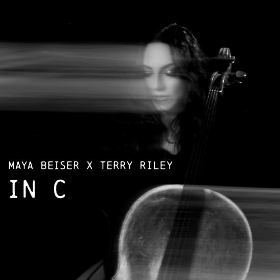 TERRY RILEY 『MUSIC FOR THE GIFT』 Terry Riley – Music For The Gift – CD (Album), 2000 [r719255
